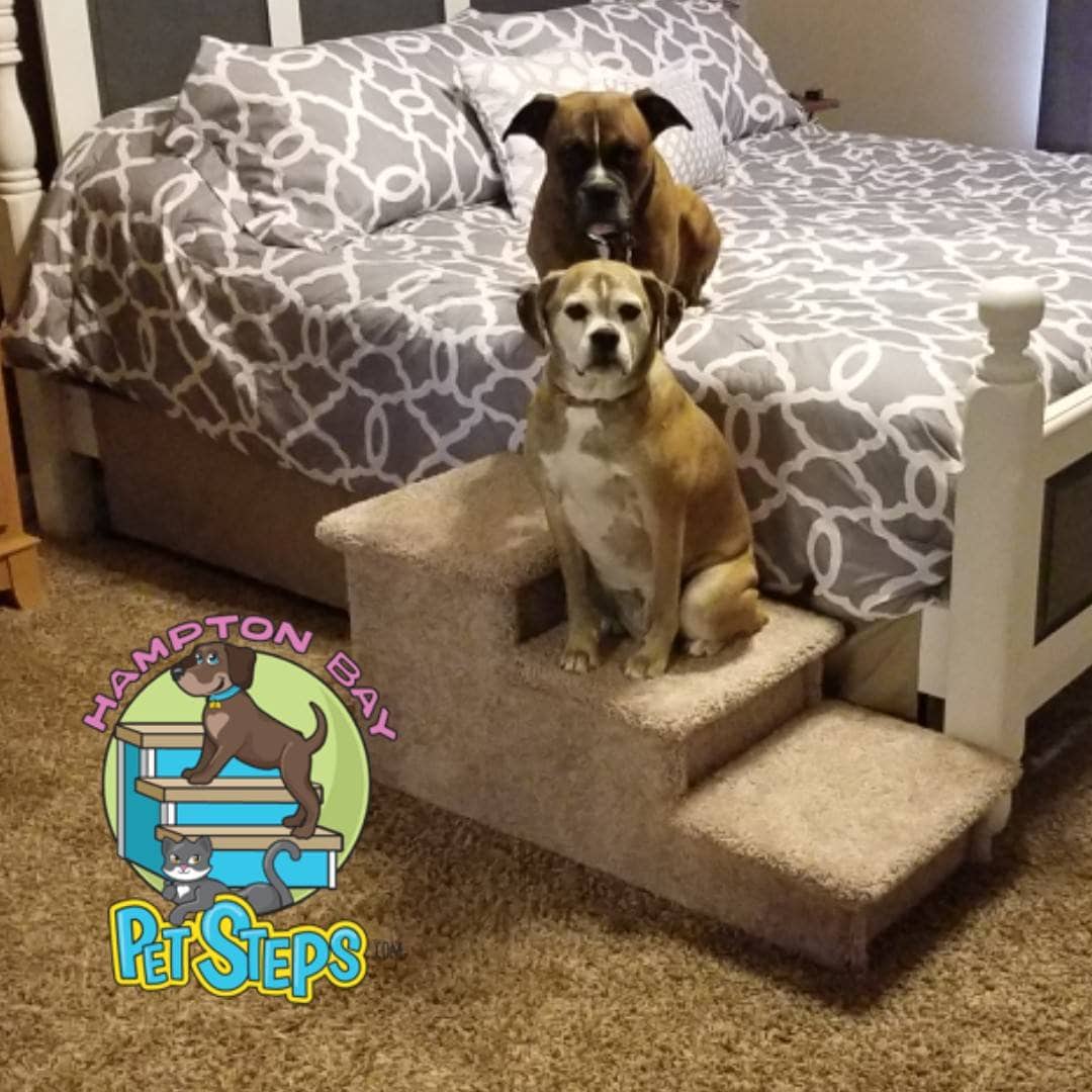 Extra Wide Extra Deep Dog Stairs For Big Dogs 5 150 Lbs Free Shipping No Foam Or Cardboard Dog Steps For Large Breeds Made In Usa