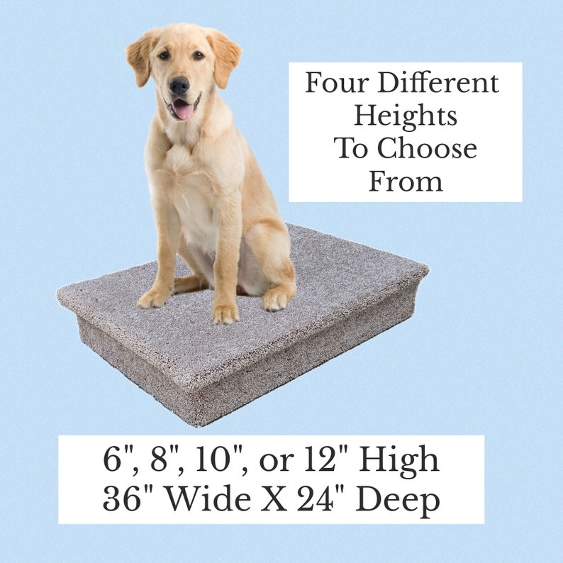 Puede incluir: Una cama rectangular gris para mascotas con superficie texturizada. Un golden retriever est&aacute; sentado sobre la cama. El texto dice: Four Different Heights To Choose From y 6", 8", 10", or 12" High 36" Wide X 24" Deep.