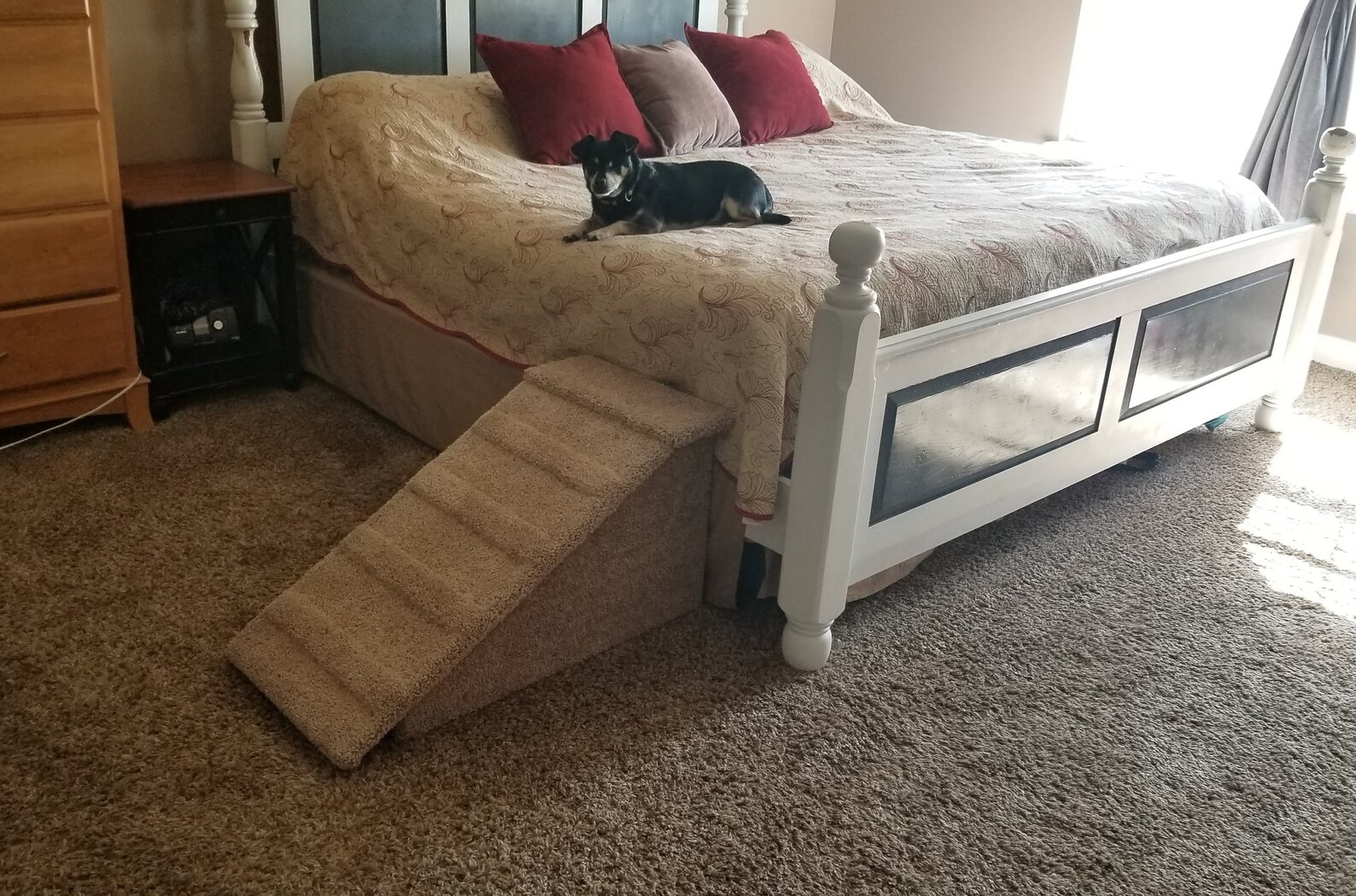 Dog Ramp Cat Ramp for Older Cats Ramp for Cats 18h Etsy