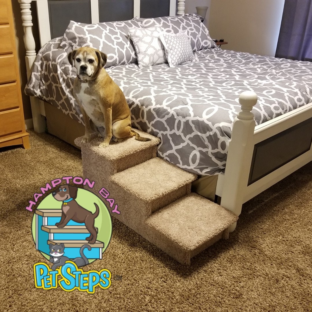 Hampton bay pet clearance steps