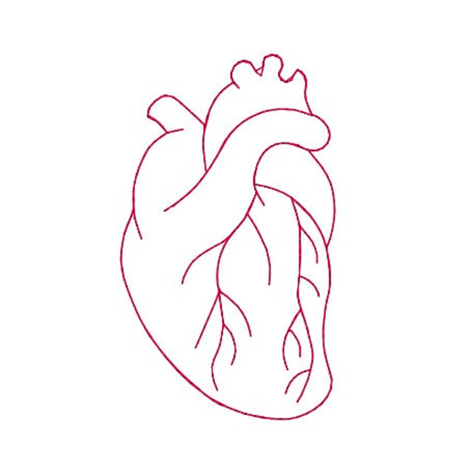 Anatomical heart embroidery design redwork heart design  etsy Anatomical heart embroidery design redwork heart design  etsy
