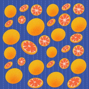 Grapefruit On Indigo Throw Blanket Fruit Pattern, Boho Home Decor, home gift idea, citrus fluffy blanket, eclectic throw afbeelding 6