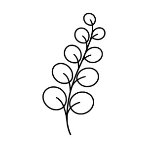 Eucalyptus Sprig SVG PNG | Botanical Cut File for Cricut, Silhouette (Instant Download)