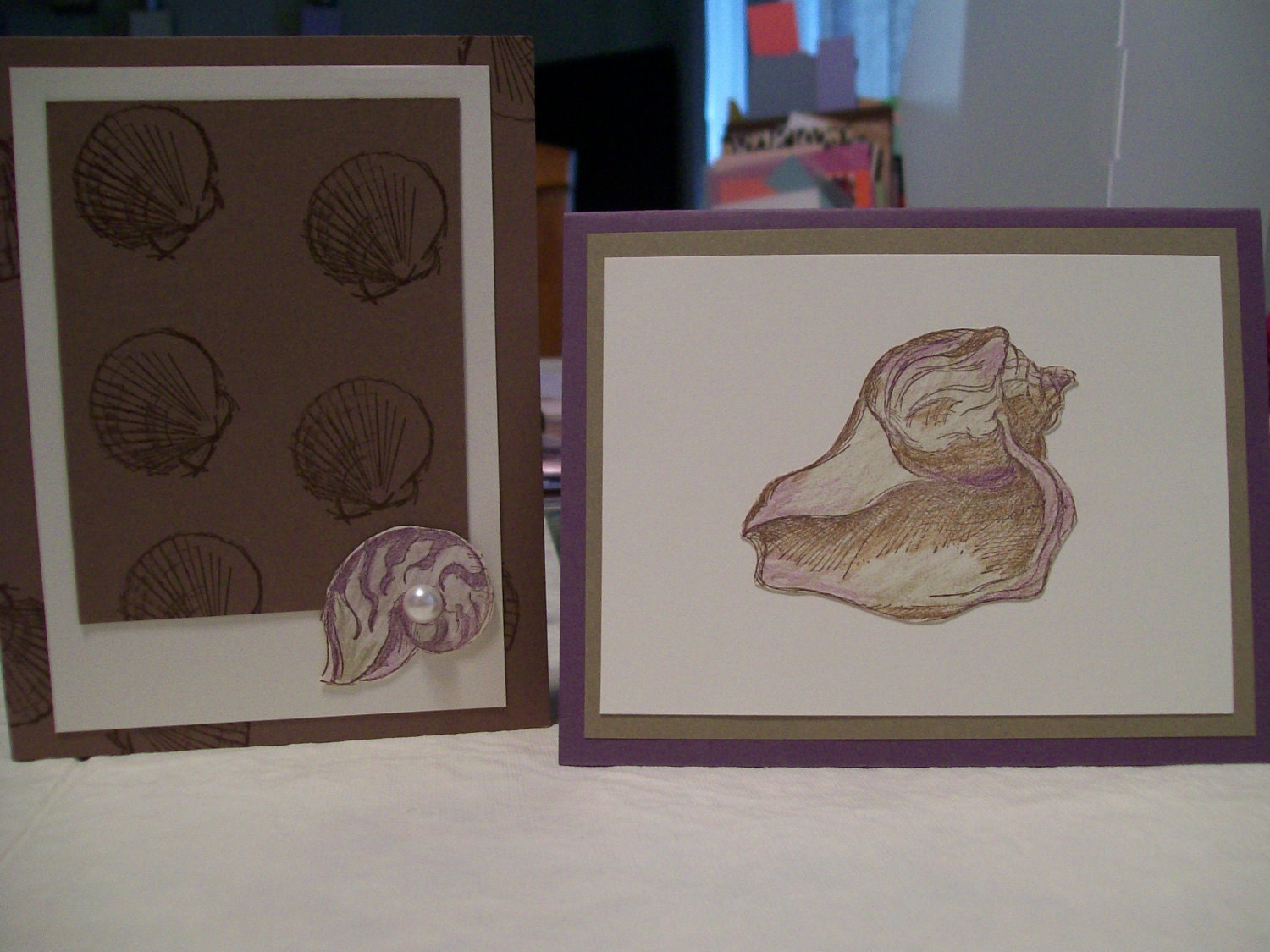 Set of 8 Seashell Cards | Etsy