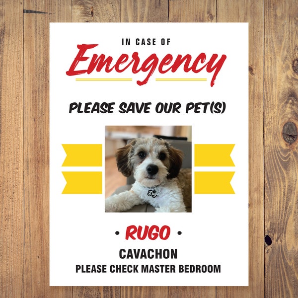 Pet Inside Sticker Etsy