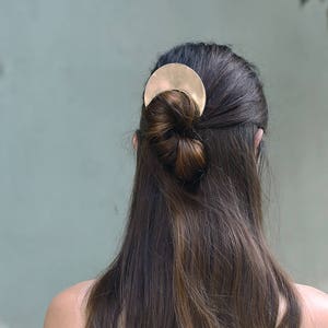 Cosmos hair pin image 1