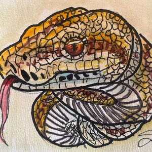 Ball Python Painting Print Framed