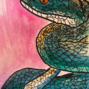 May include: A watercolor illustration of a snake with teal and green scales, featuring a prominent black outline and a bright orange eye. The snake is coiled against a vibrant pink background, showcasing detailed scale patterns and a light yellow underbelly.