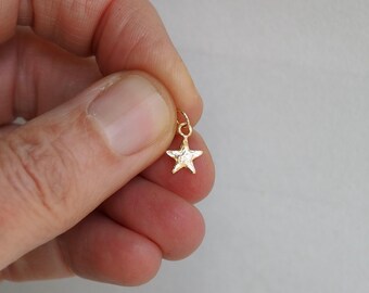 Dainty 14k Gold Northern Star Pendant Minimalist Mini Star Charm Necklace