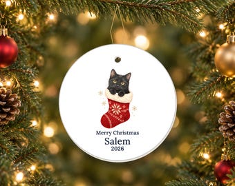 May include: A round white ceramic Christmas ornament featuring a black cat peeking out of a red knitted stocking with a white cuff. The text reads Merry Christmas, Salem, and 2026. The ornament hangs from a gold string against a tree.