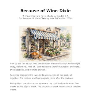 May include: A chapter-review novel study for grades 3-5 for Because of Winn-Dixie by Kate DiCamillo. The document features a watercolor illustration of a storefront with a blue and white striped awning, wooden crates of produce, and text.