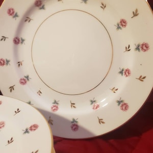 英国製 ...Rosalie 可憐な花びら ディナー皿5枚 Noritake Rosalie - Etsy