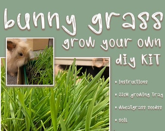 FRESH HASE GRASS DIY Kit **Futter Leckerfutter Hasen Bereicherung Kleintiere Meerschweinchen Langeweile Buster Weizengras Samen Boden Wachsend.**