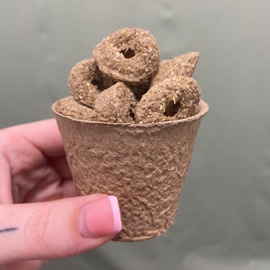 Barley Rings Rabbits Bunny’s Forage Enrichment Food Treats Small Animals Guinea Pigs Chew Gnaw Toys