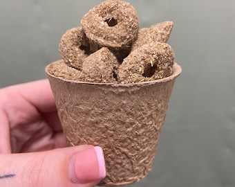 Barley Rings Rabbits Bunny’s Forage Enrichment Food Treats Small Animals Guinea Pigs Chew Gnaw Toys