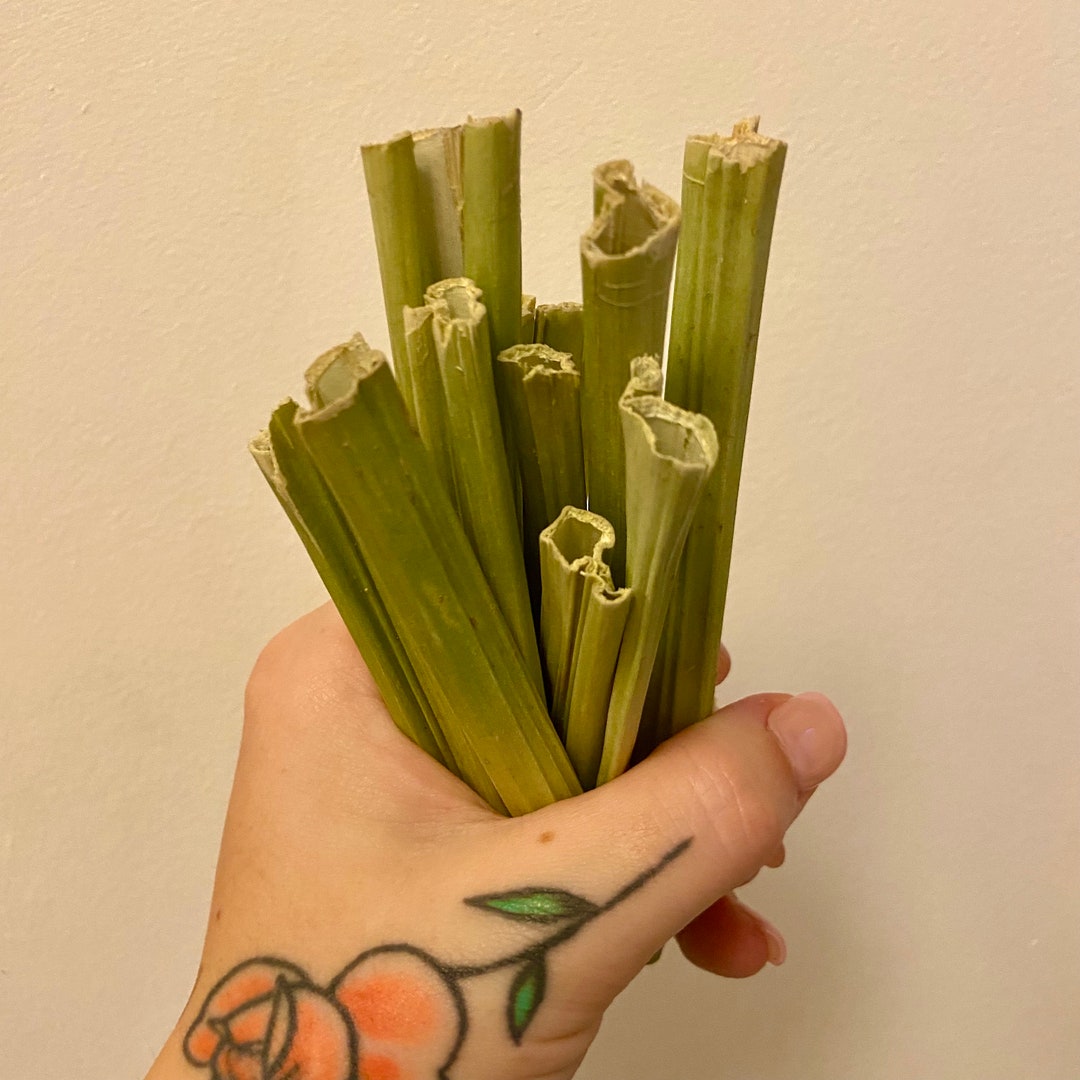 Papaya Crunchy Stems Bunny Rabbit Forage Treat Enrichment Small Animals Guinea Pigs Boredom