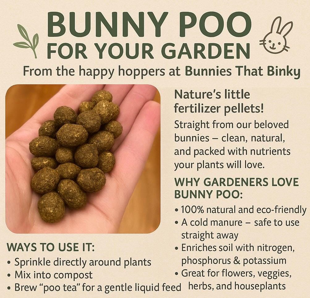 Rabbit Manure - Etsy Denmark