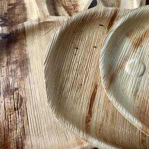 HÄSCHEN PALMLEAF Teller |kauen nagen klein Haustier Futter Leckerei Bereicherung kleine Tiere Meerschweinchen Langeweile Buster Bild 5