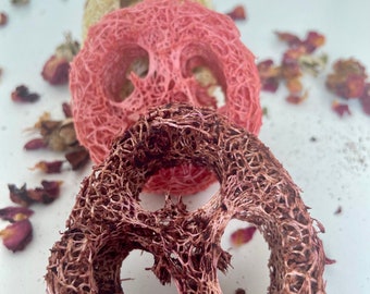 Luffa impregnata di frutta, da masticare per conigli, piccoli animali, porcellini d'India, foraggio, giocattolo per animali domestici, dolcetti ai fiori, criceti