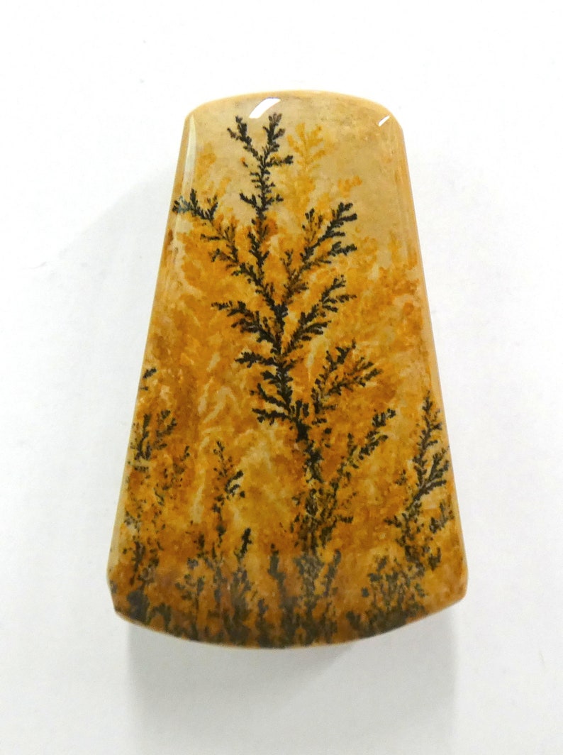 Dendritic Sandstone Cabochon 23x34 mm Trinagular Cabochon