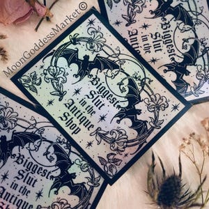 May include: Several square stickers with a holographic finish are displayed. Each sticker features a black bat design, floral accents, and the text "Biggest Slut in the Antique Shop." The stickers are arranged on a soft, white surface with dried flowers.