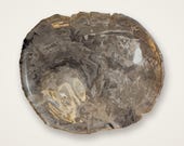 Petrified Wood Serving Plate 16 x 13, Taupe and Mocha Brown Fossil Stone Tray, Polished Top, Raw Natural Edge, One of a Kind