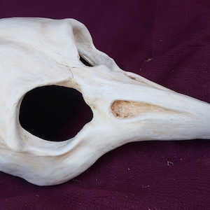 Crow Skull Mask
