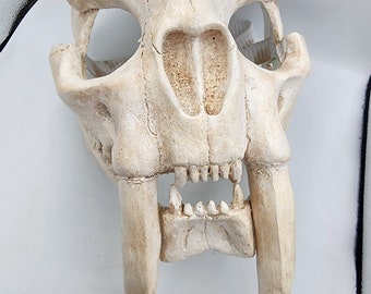Sabor Tooth Tiger Skull Mask