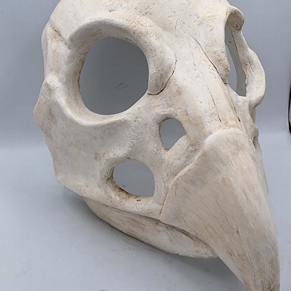 Hawk Skull Mask