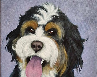 Pet Portraits