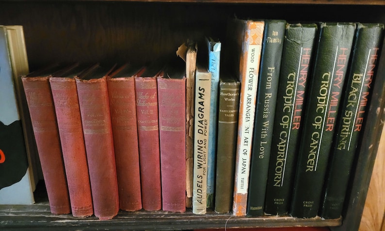 May include: A bookshelf filled with a variety of books, including several with red spines and a few with black spines. The titles of some of the books are visible, including "Tropic of Cancer", "Tropic of Capricorn", "Black Spring", and "From Russia With Love".