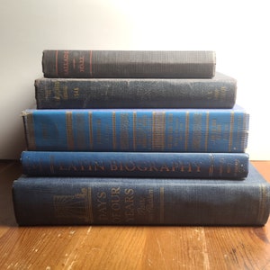 May include: A stack of five blue hardcover books with gold lettering. The top book has the title "Latin Biography" and the bottom book has the title "Days of Our Years".