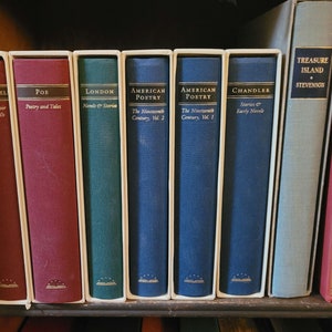 May include: A bookshelf with a variety of hardcover books, including "Crime Novel", "Poe", "London", "American Poetry", "Treasure Island", and "The History of the Decline and Fall of the Roman Empire".
