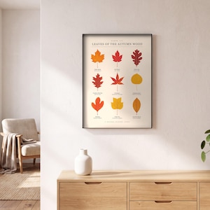 May include: A framed wall print titled Leaves of the Autumn Wood, featuring a grid of nine distinct leaf illustrations in shades of red, orange, and yellow. Each leaf is labeled with its common name in black text against a light cream background.