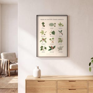 May include: A rectangular wall poster titled Trees of Eastern North America, featuring twelve detailed botanical illustrations of various tree leaves, seeds, and fruits arranged in a grid on a cream-colored background, framed in a thin black border.