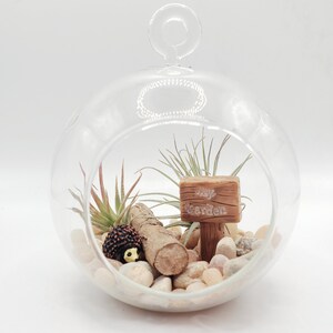 May include: A glass globe terrarium with a small wooden sign that says "My Garden", a small hedgehog figurine, and a few air plants. The terrarium is filled with small stones and a piece of driftwood.