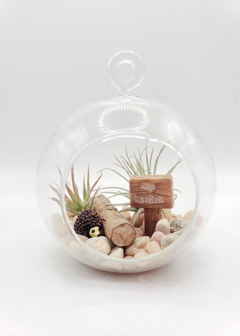 May include: A glass globe terrarium with a small wooden sign that says "My Garden", a small hedgehog figurine, and a few air plants. The terrarium is filled with small stones and a piece of driftwood.