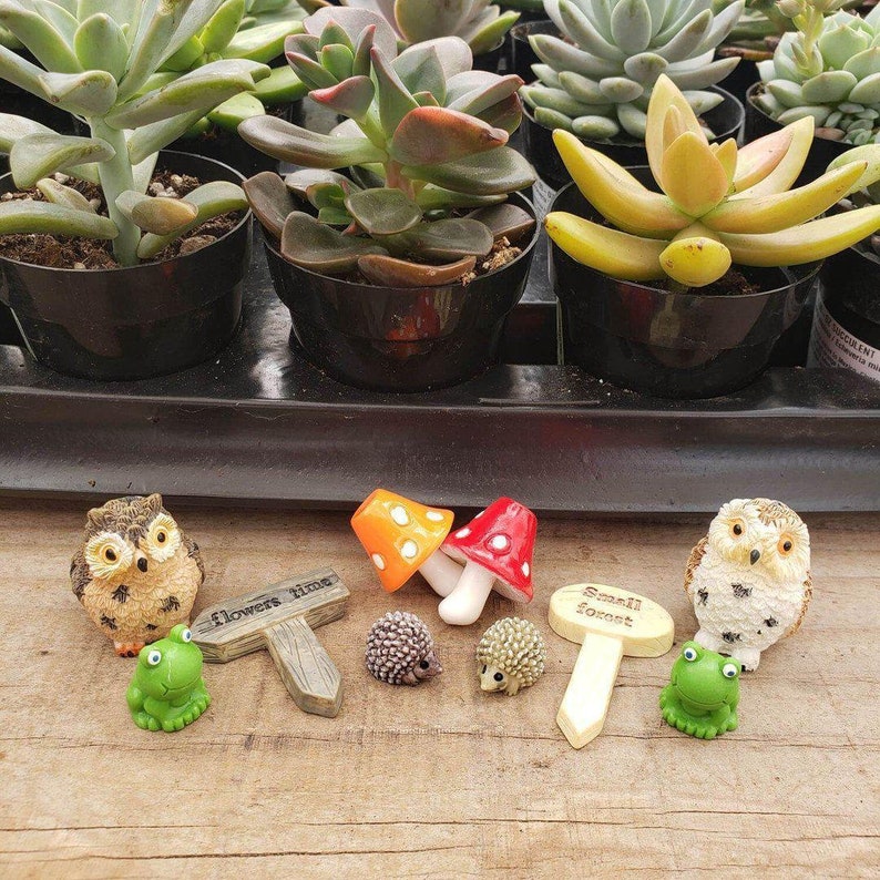 May include: A collection of miniature garden decorations, including two owls, two hedgehogs, two mushrooms, a frog, and two signs that read "flowers time" and "small forest".
