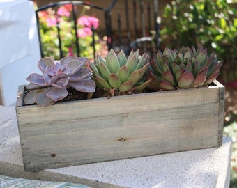 Say It With Succulents - Rustic Planter Box with 3 4" assorted succulents - Choose Your Card - FREE SHIPPING