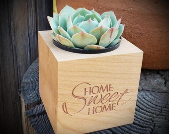 Say It With Succulents - Home Sweet Home Wood Cube OR Rectangle Planter - Choose Your Card - FREE SHIPPING