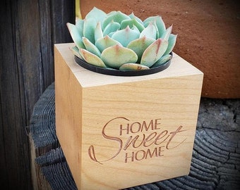 Say It With Succulents - Home Sweet Home Wood Cube OR Rectangle Planter - Choose Your Card - FREE SHIPPING