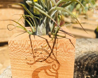 Air Plants and Wood Container