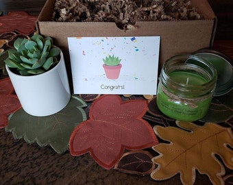 Say It With Succulents - Succulent and Candle Gift Box - FREE Shipping