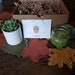 see more listings in the Say It W/ Succulent Gift section