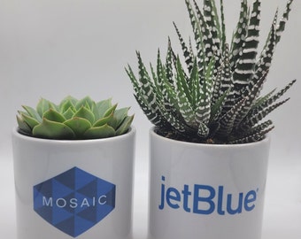 Succulent in Pot with CUSTOM BUSINESS LOGO for corporate gifts, employee gift, onboarding (5 Units)