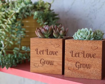 Say It With Succulents - Let Love Grow Wood Cube with 2.5" succulent - Choose Your Card - FREE SHIPPING