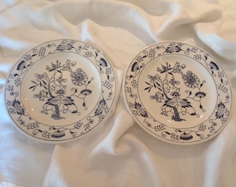 Royal China Doorn Blue Onion Dinner Plates Set of 2