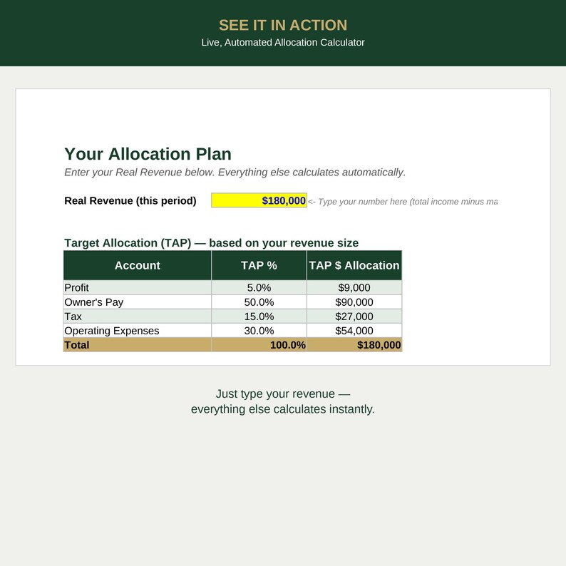 Profit Allocation Planner for Small Business, Automated Excel Budget ...