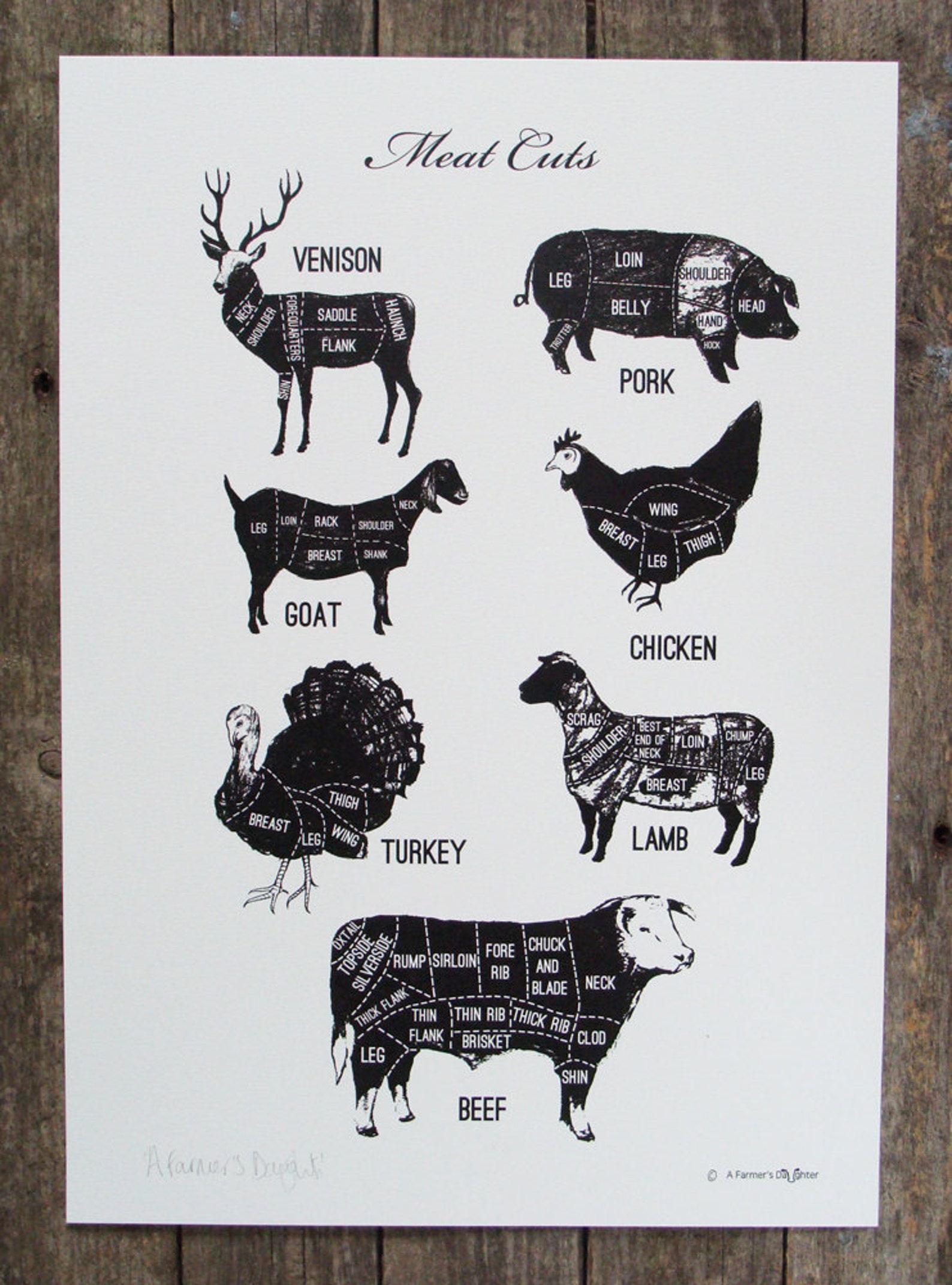 Meat Cuts Kitchen Print Etsy UK