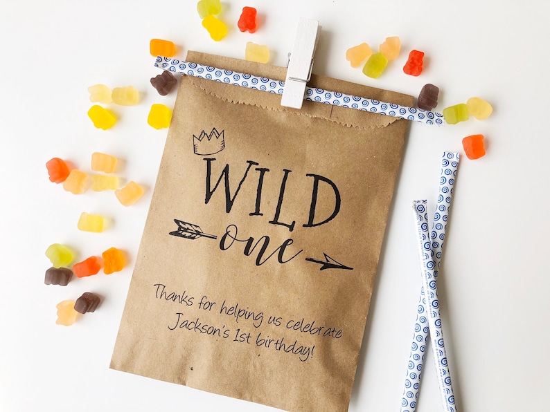 First Birthday Favor Bags Candy Bags 1st Birthday Favor Etsy